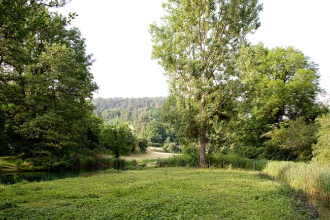 Gites La Forge De Sainte Marie Thonnance-les-Moulins Екстер'єр фото