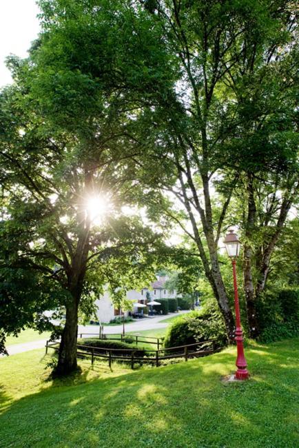 Gites La Forge De Sainte Marie Thonnance-les-Moulins Екстер'єр фото